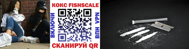 Cocaine FishScale  Купить  Алзамай 
