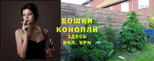 прущие грибы Лихославль
