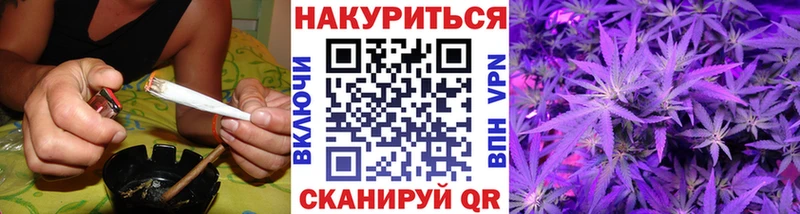 Бошки марихуана Bruce Banner  Купить где  Алзамай 